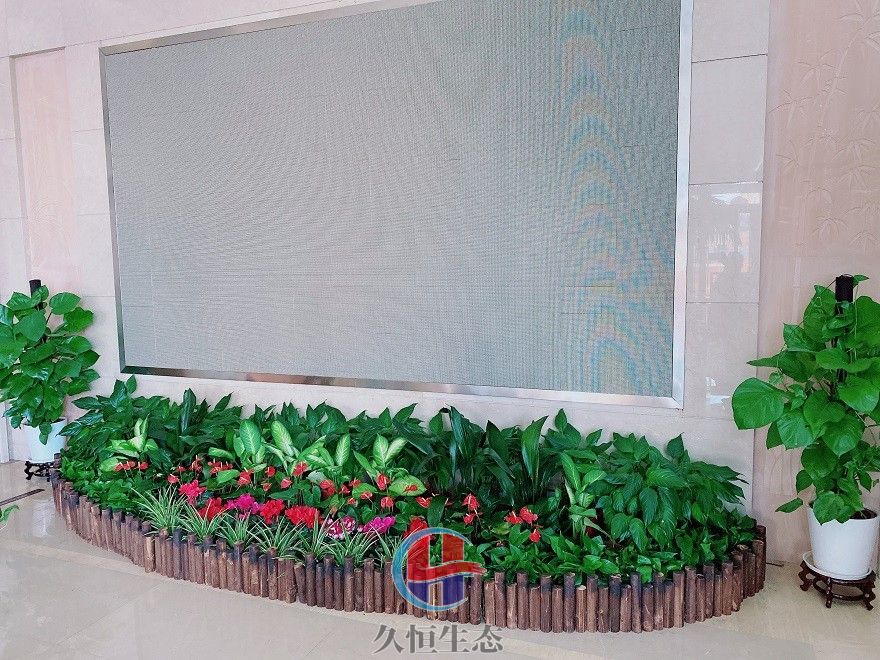 奉化企业大厅显示屏组合花卉绿植摆放